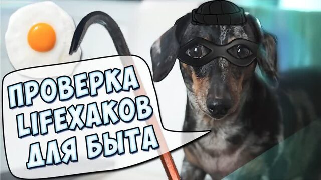 [Дима Масленников] ПРОВЕРКА ЛАЙФХАКОВ С канала OUR VIDOS TV и GopherVid - вскрываем!