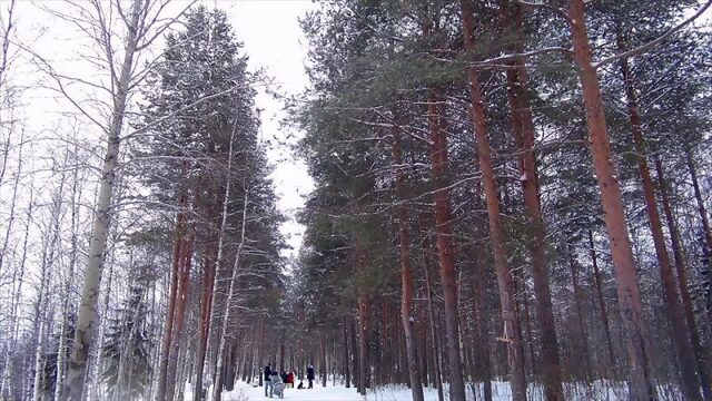 Видео от Подслушано Ухта