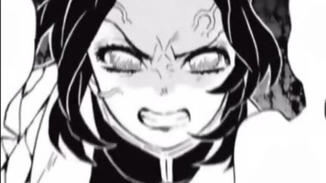 ▹ kimetsu no yaiba; mitsuri & shinobu