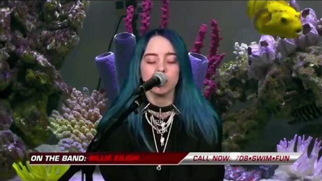 Bellyache - Billie Eilish live on Adult Swim