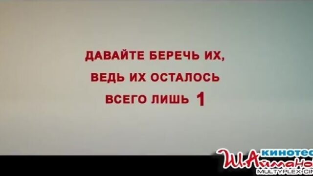 Инстаграмщица | с 28 июня в кинотеатре имени Шакена Айманова