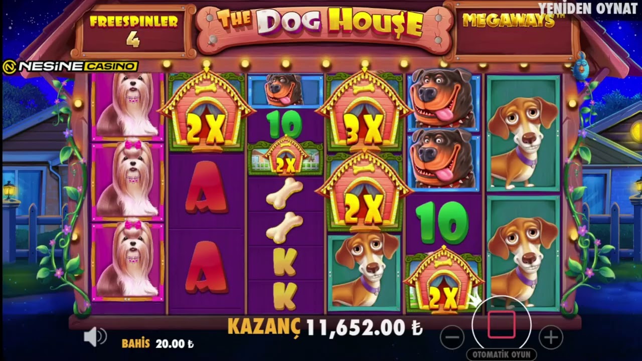 The Dog House  #Nesinecasino